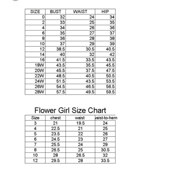 Alfred Sung Full Length,  Dress..Pearl Pink..Size 18W - Picture 7 of 8